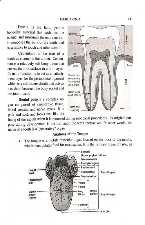 E.N.T. & Head Disorders ( Shalakya Tahtra)
